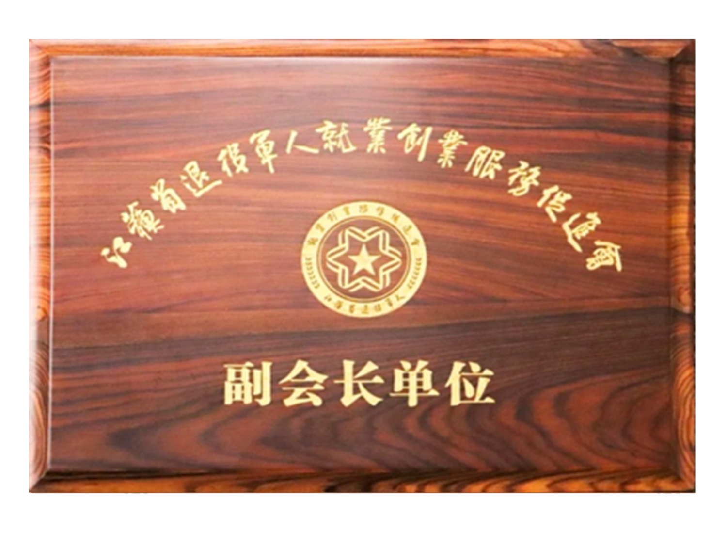 江蘇省退役軍人就業(yè)促進(jìn)會副會長單位